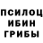 Галлюциногенные грибы мухоморы Tatjana Karppinen