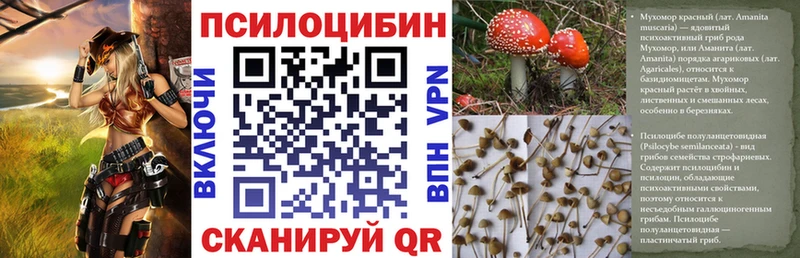 Купить закладки  Глазов  Галлюциногенные грибы Psilocybine cubensis 